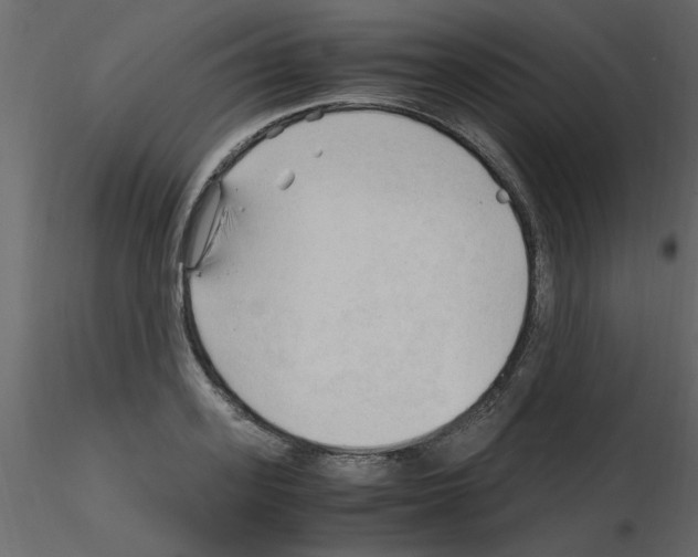 X0000115800939200912241850