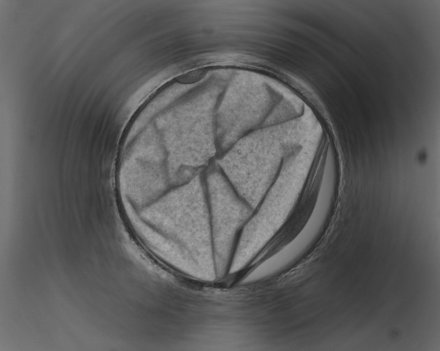 X0000115800946200912241850