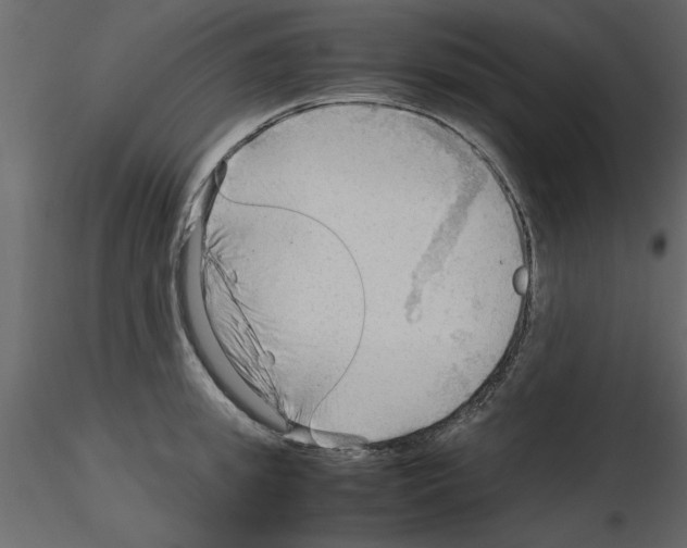 X0000115800949200912241850