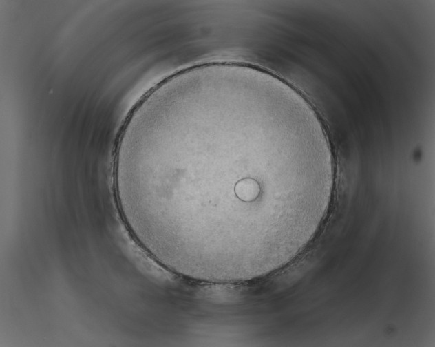 X0000115800950200912241850