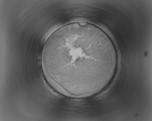 X0000115800953200912241850