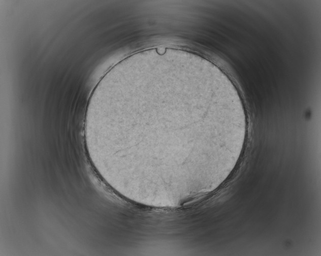 X0000115800954200912241850