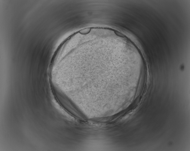 X0000115800958200912241850