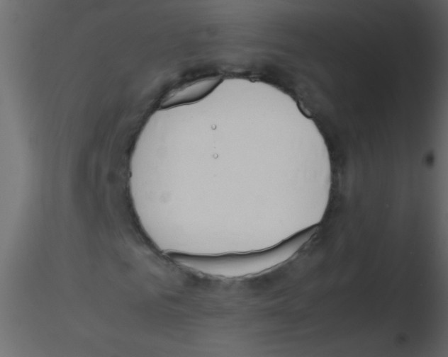 X0000115800961200912241850