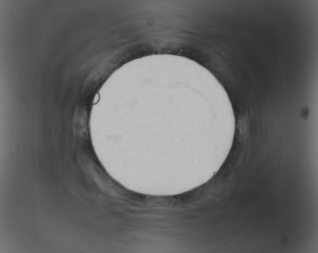 X0000115800963200912241849