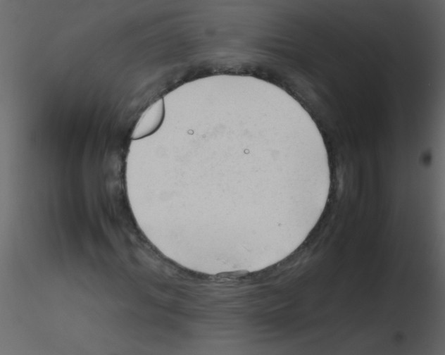 X0000115800964200912241849