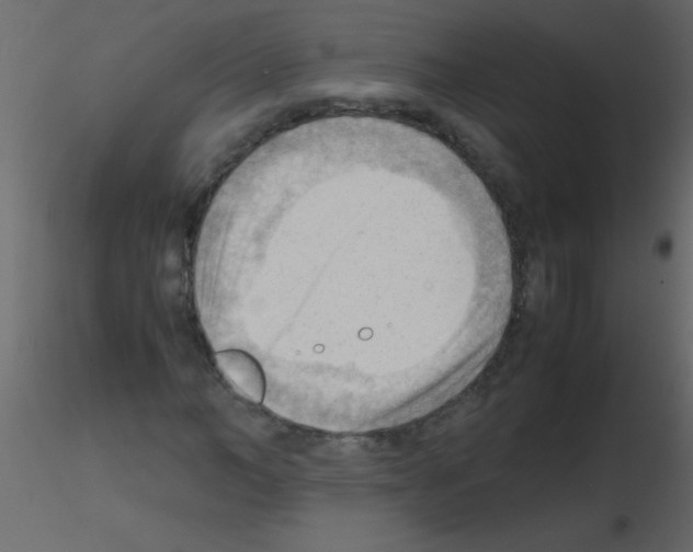 X0000115800966200912241849