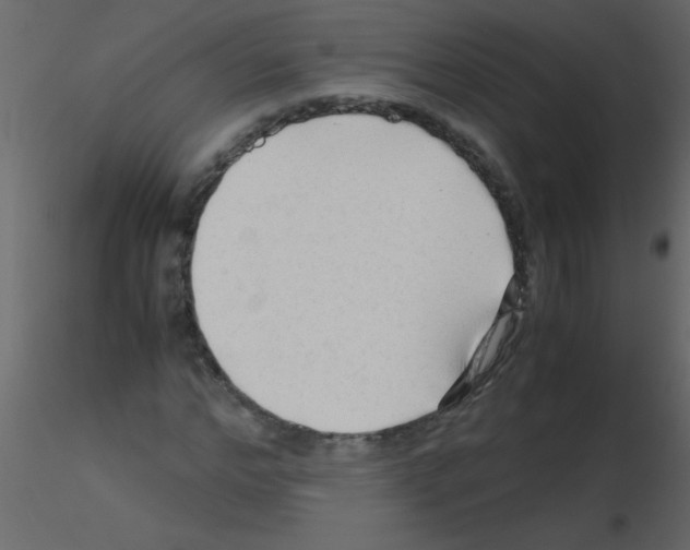 X0000115800968200912241849