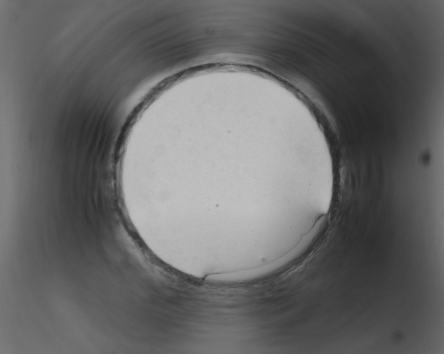 X0000115800972200912241849