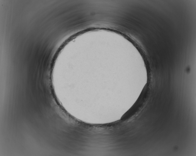 X0000115800976200912241849