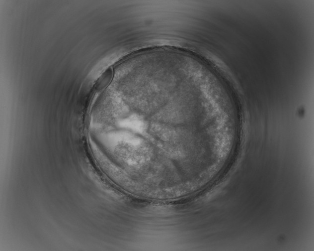 X0000115800977200912241849