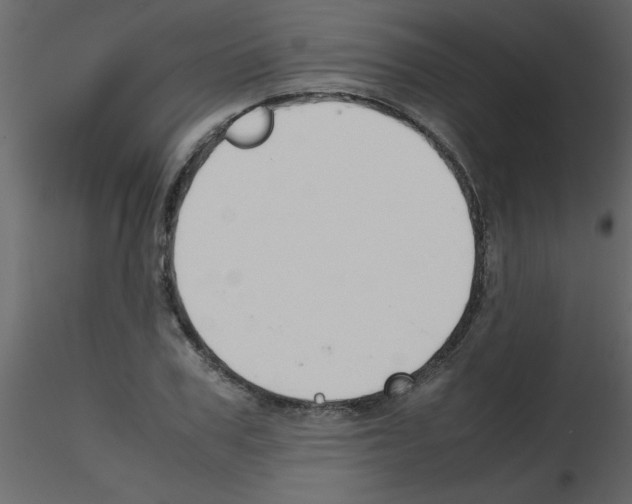 X0000115800979200912241849