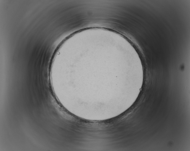 X0000115800980200912241849