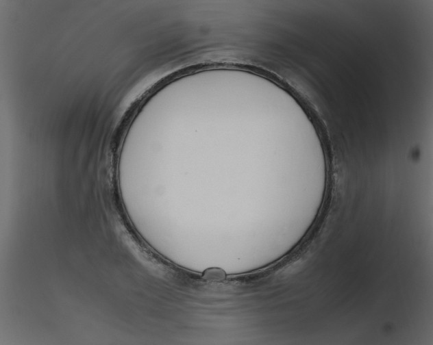 X0000115800981200912241849