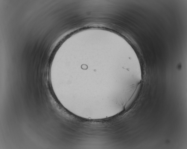 X0000115800984200912241849