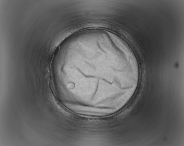 X0000115800985200912241849