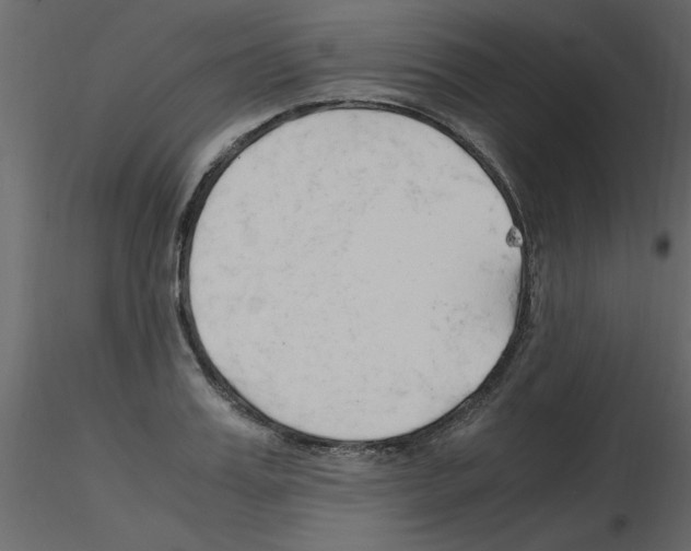 X0000115800987200912241849