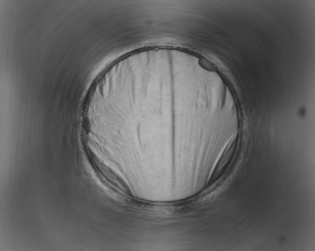 X0000115800989200912241849