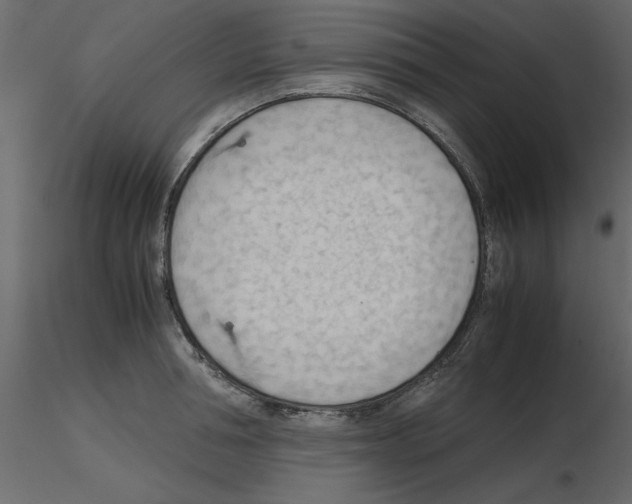 X0000115800994200912241849