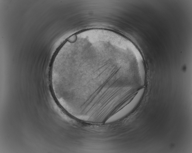 X0000115800995200912241849