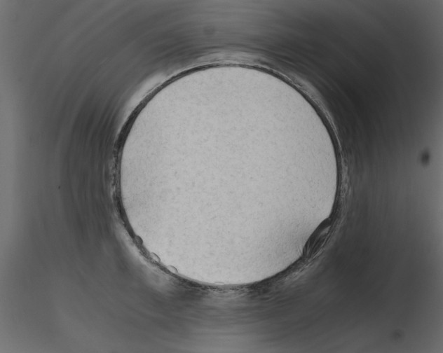 X0000115800997200912241849