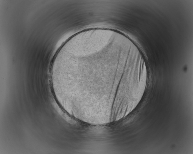 X0000115800998200912241849