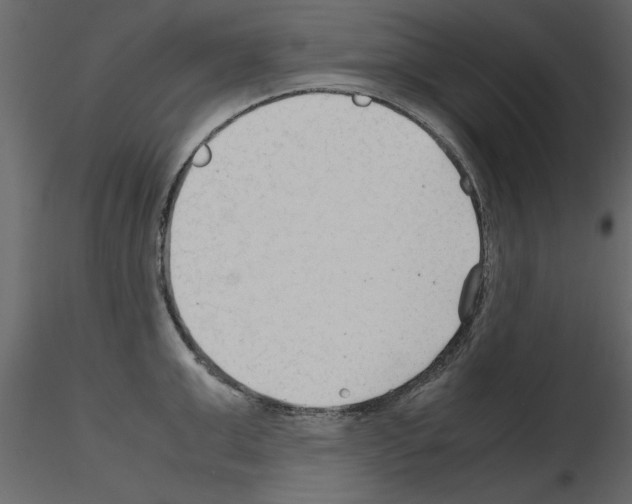 X0000115800999200912241849