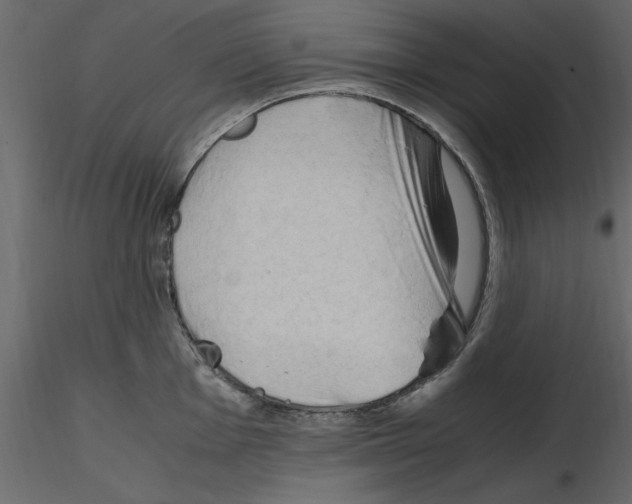 X0000115801001200912241849