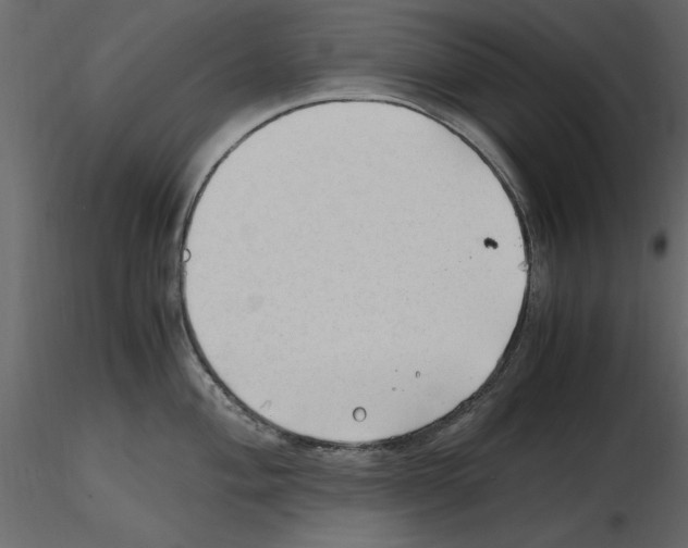 X0000115801004200912241849