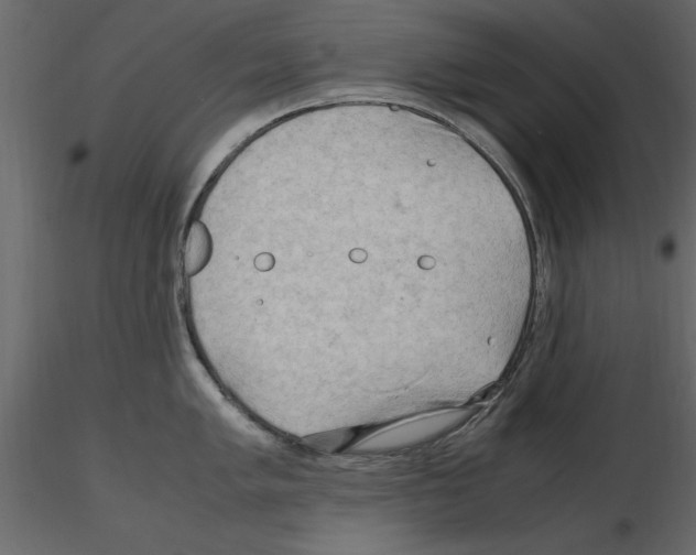 X0000115801005200912241849