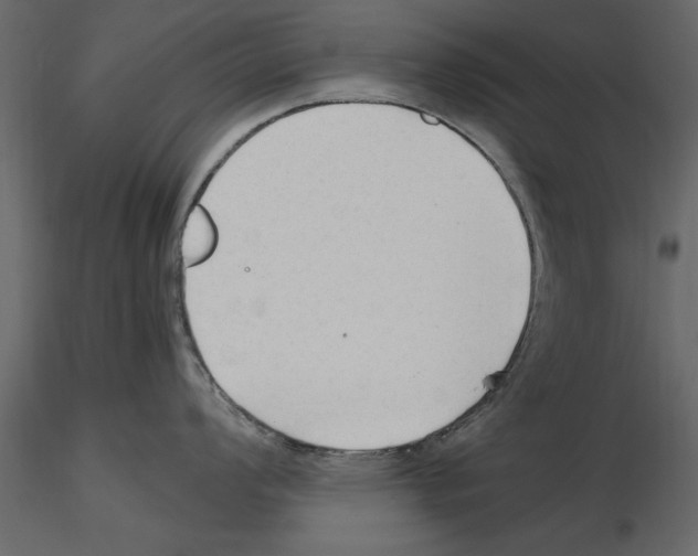 X0000115801008200912241849