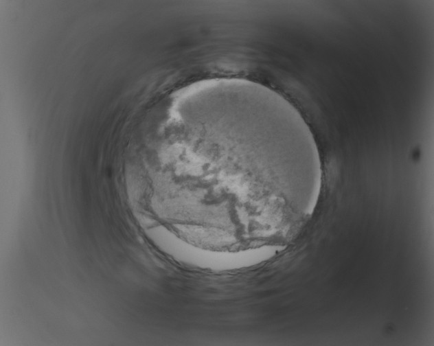 X0000115801009200912241848