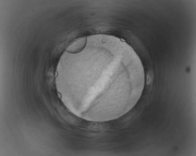 X0000115801011200912241848