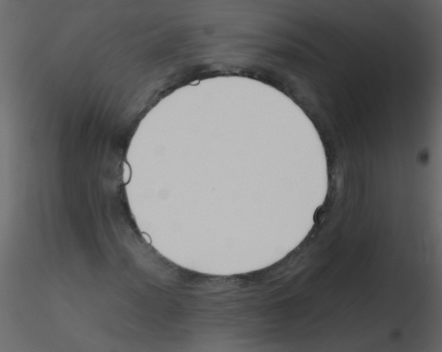 X0000115801012200912241848