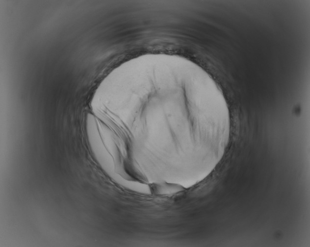 X0000115801013200912241848