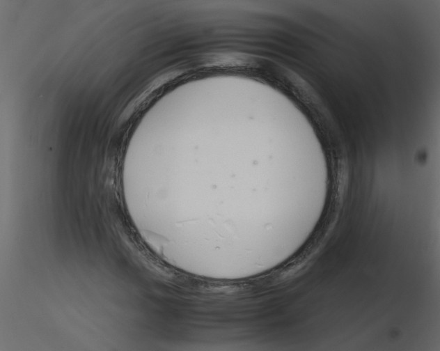 X0000115801017200912241848