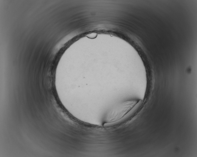 X0000115801018200912241848