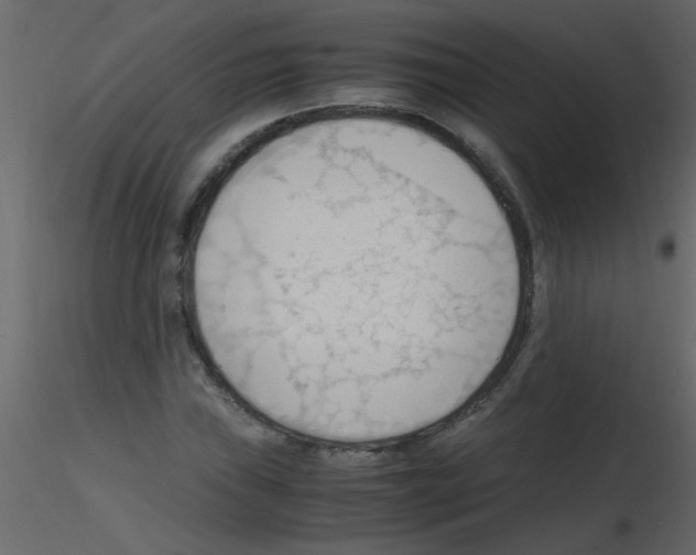 X0000115801019200912241848