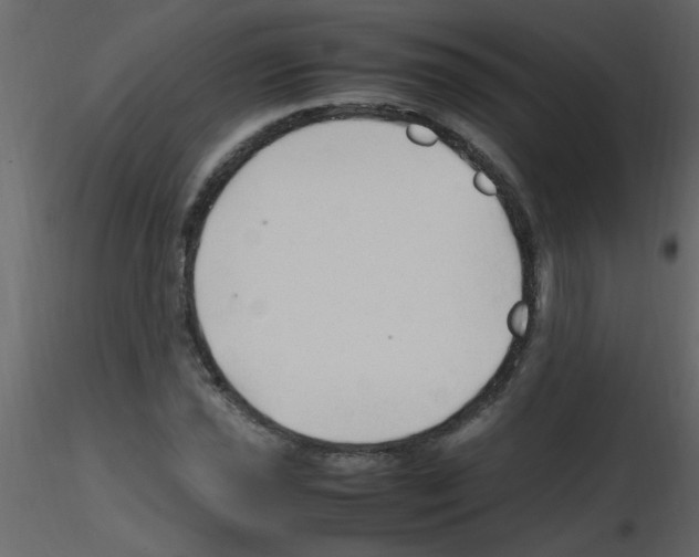 X0000115801021200912241848