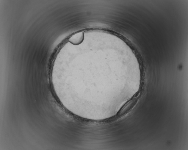 X0000115801022200912241848