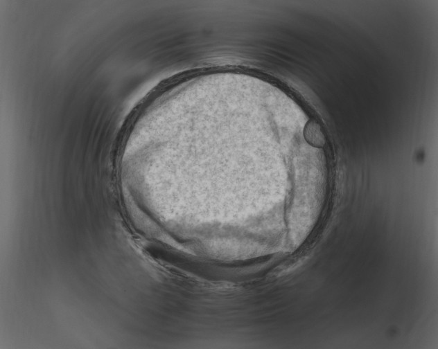 X0000115801023200912241848