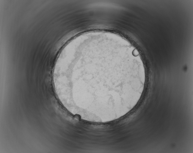 X0000115801025200912241848