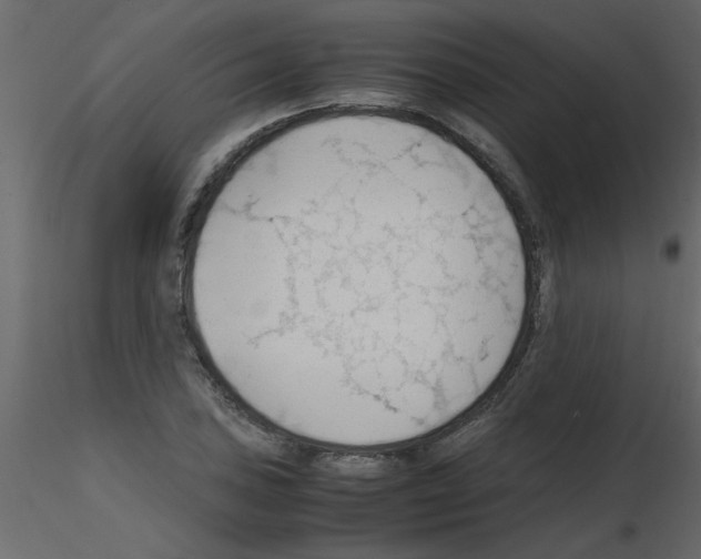 X0000115801027200912241848