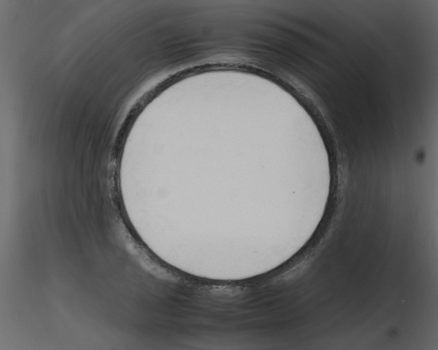 X0000115801029200912241848