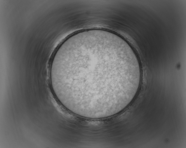 X0000115801031200912241849