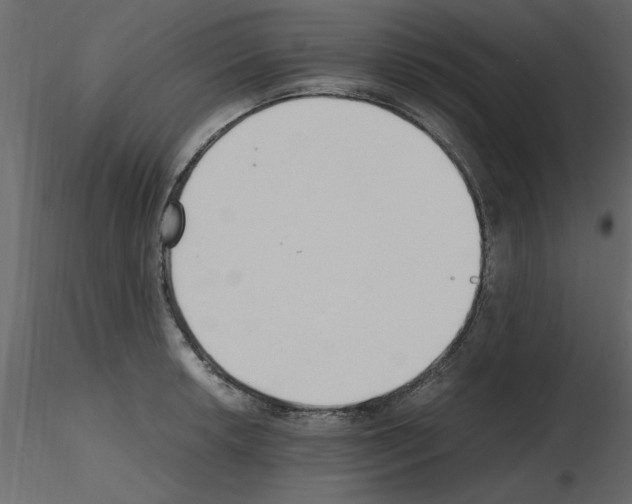 X0000115801042200912241849