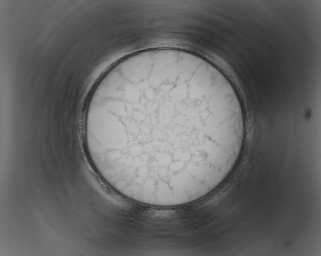 X0000115801043200912241849