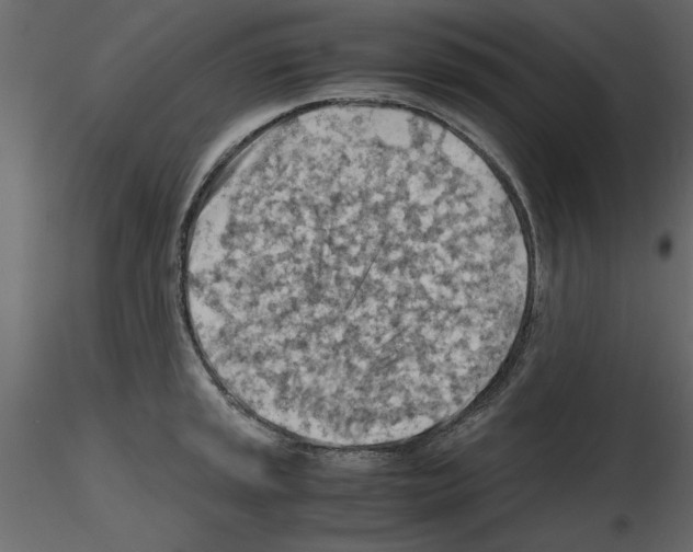 X0000115801045200912241849