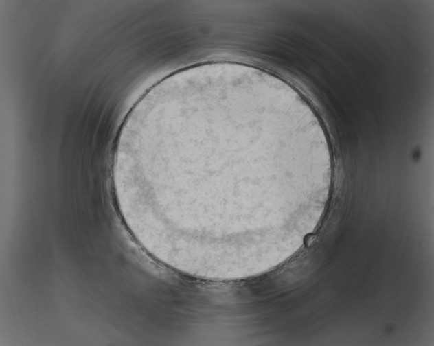 X0000115801048200912241849