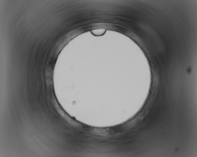 X0000115801049200912241849